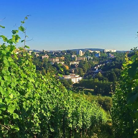 Schroeders Wein-Style-Hotel Treviri Esterno foto