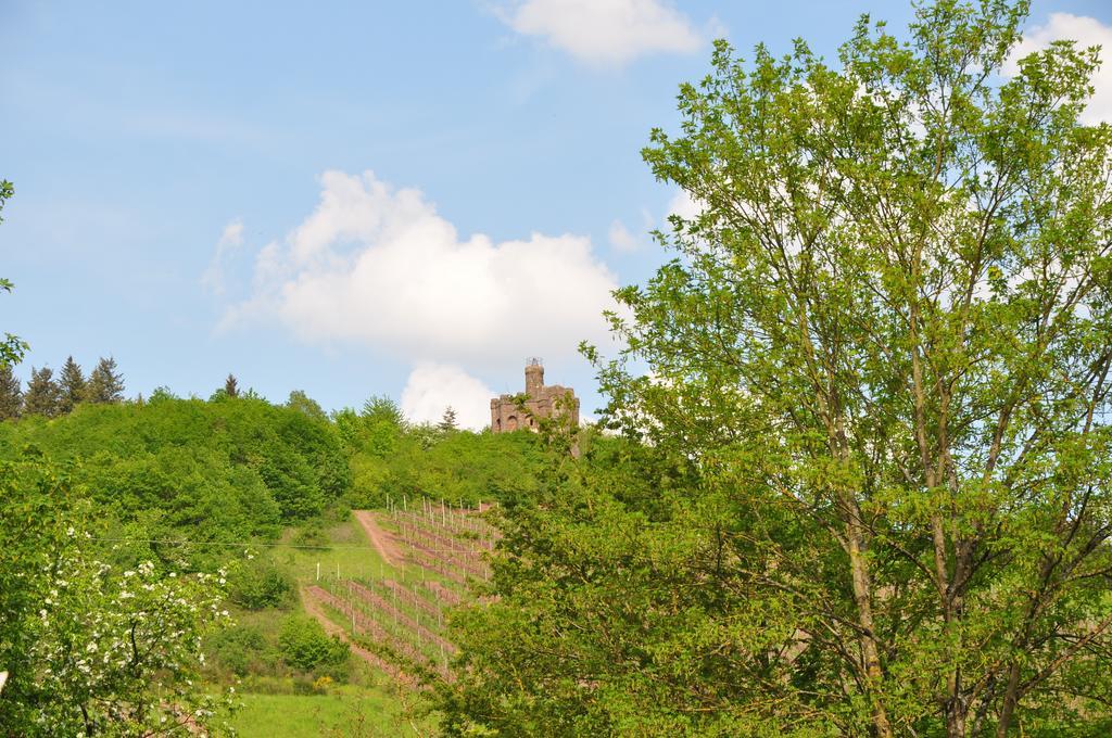 Schroeders Wein-Style-Hotel Treviri Esterno foto
