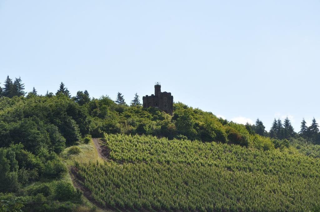 Schroeders Wein-Style-Hotel Treviri Esterno foto