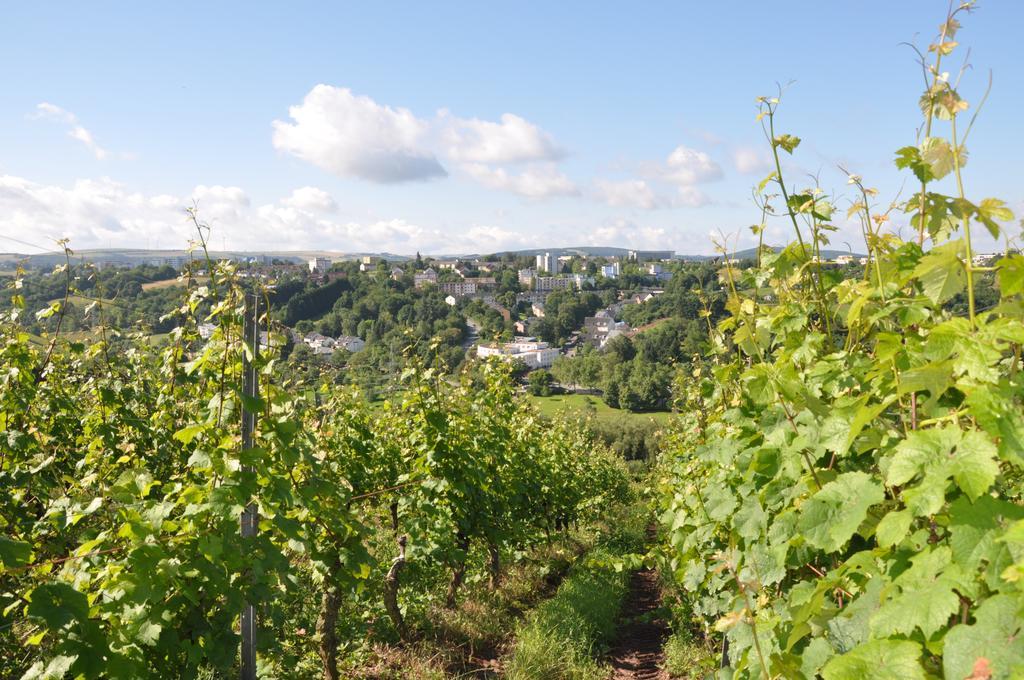 Schroeders Wein-Style-Hotel Treviri Esterno foto