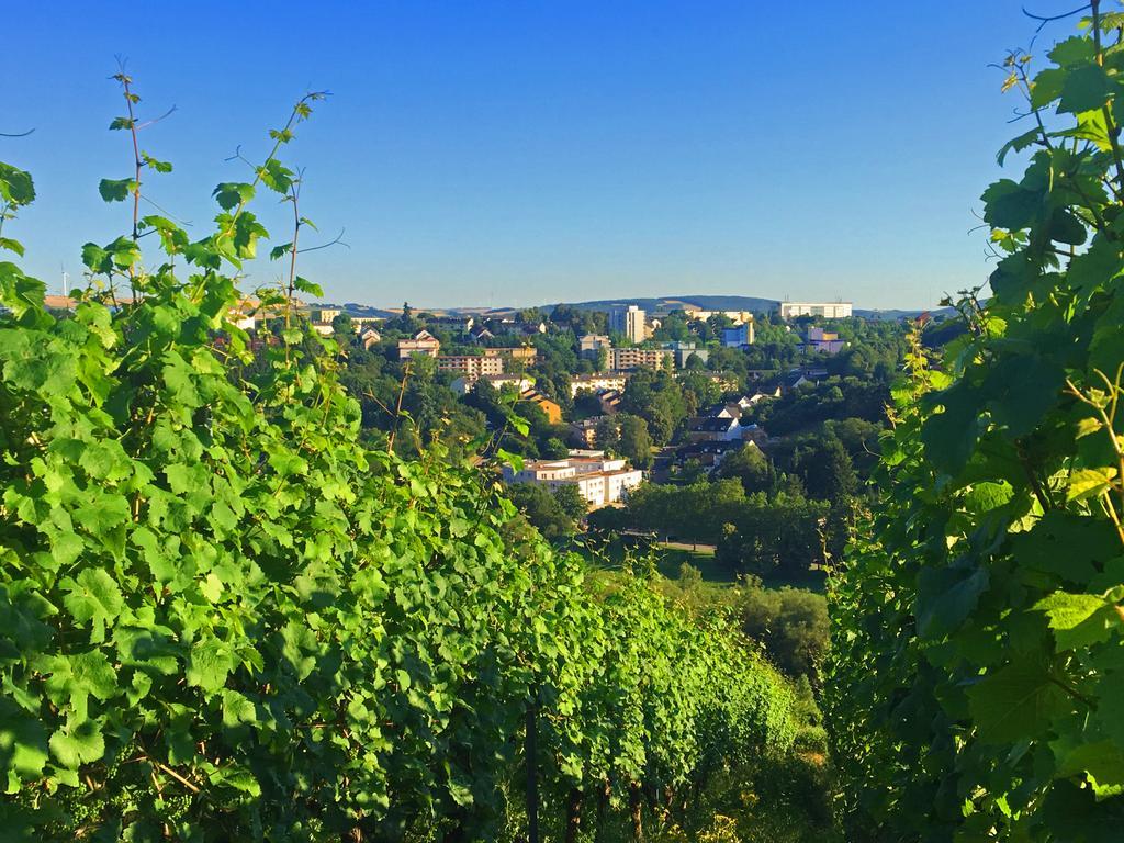 Schroeders Wein-Style-Hotel Treviri Esterno foto