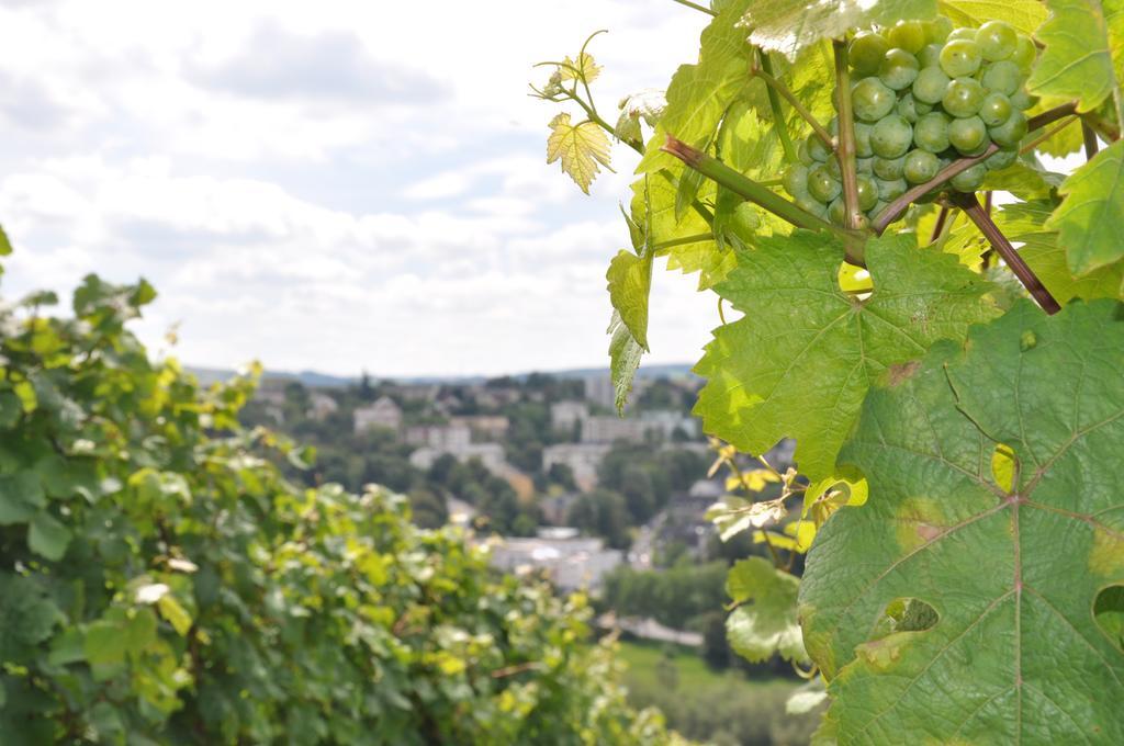 Schroeders Wein-Style-Hotel Treviri Esterno foto